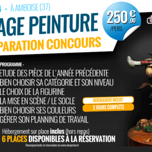 9/11/2023 - Figostage : Préparation concours Octopainting 2025